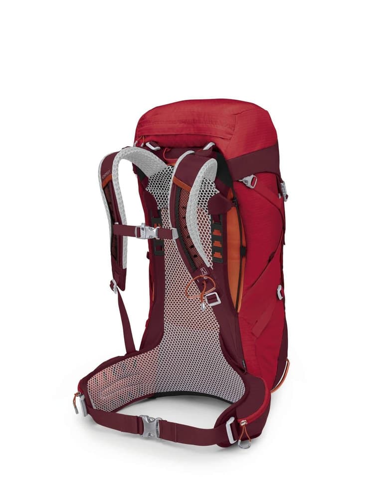 Stratos 36 Poinsettia Red, view: 2