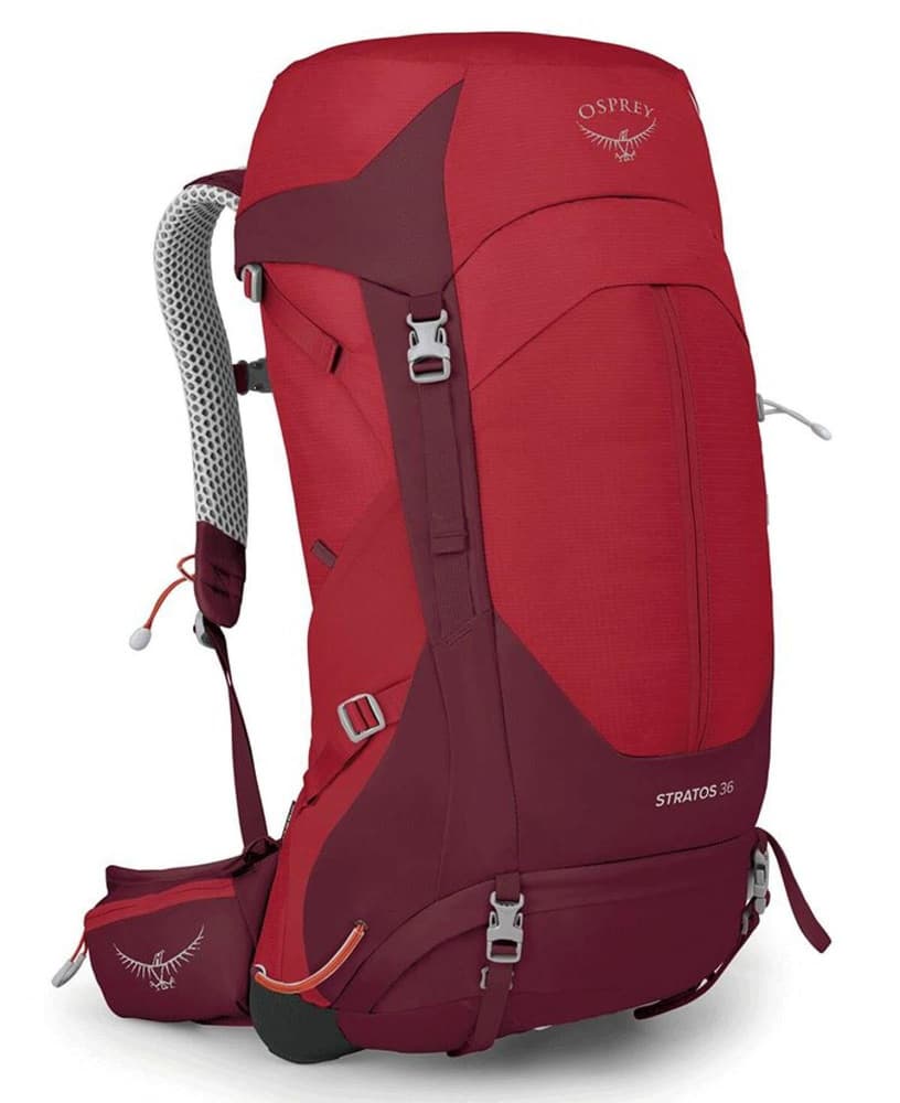 Stratos 36 Poinsettia Red, view: 0