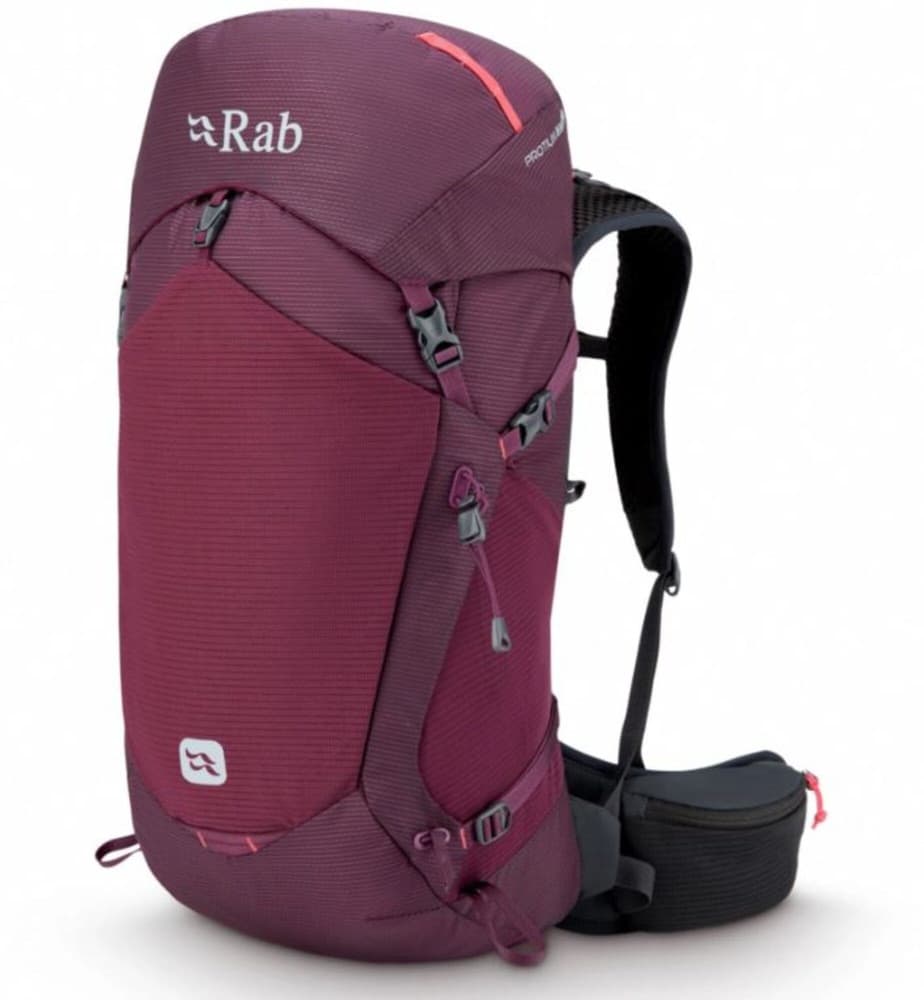 Mulberry