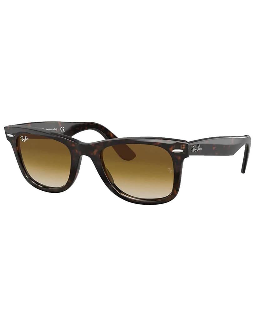 Wayfarer Tortoise Brown, view: 0