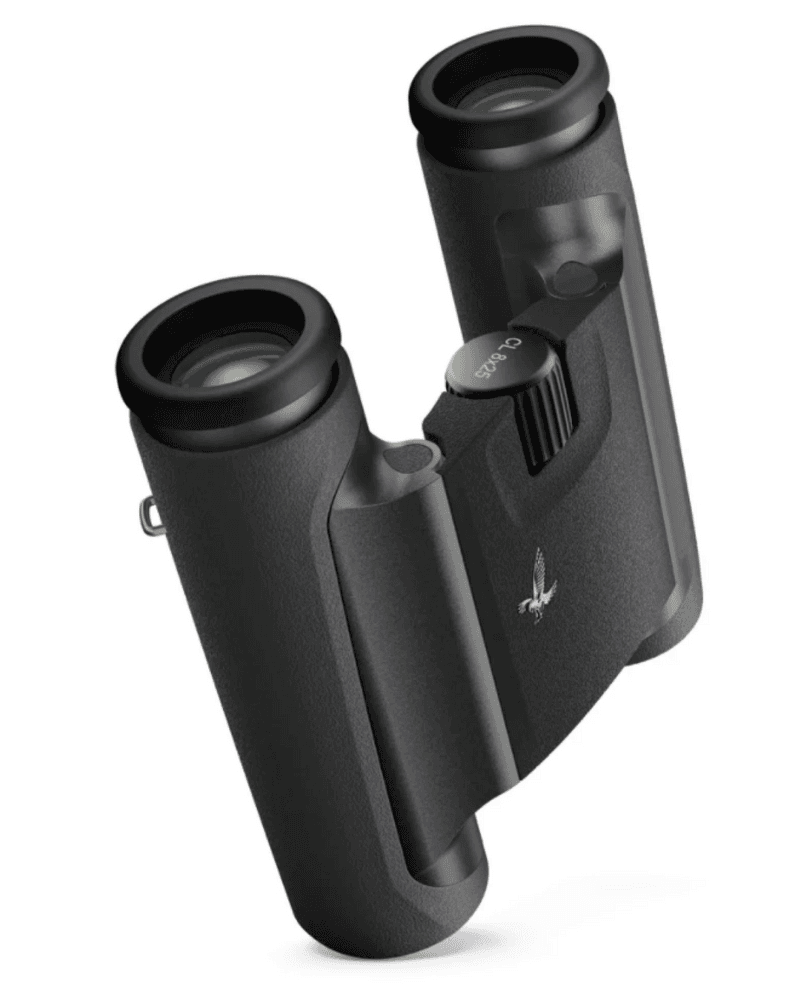 CL Pocket 10x25 WN Anthracite, view: 1