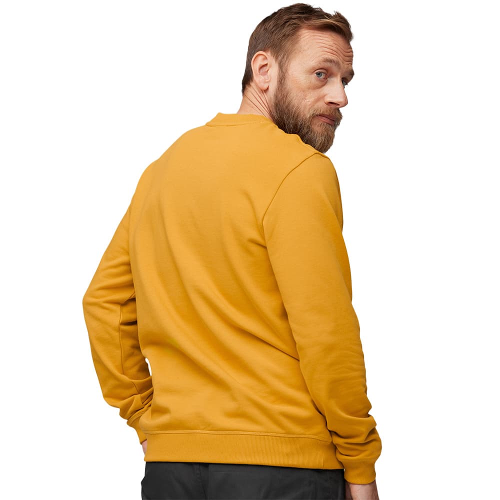 1960 Logo Badge Sweater M Grey-Melange, view: 3