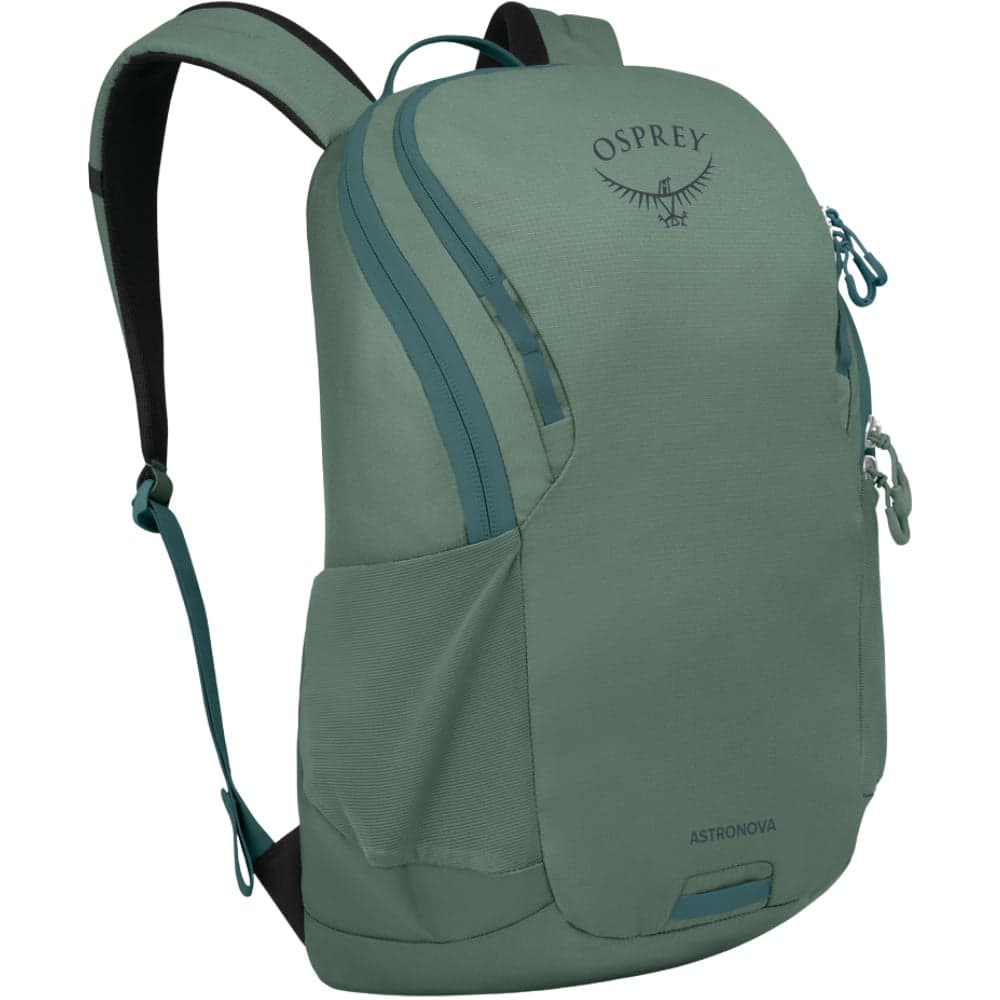 Astronova Pine Leaf Green, view: 0