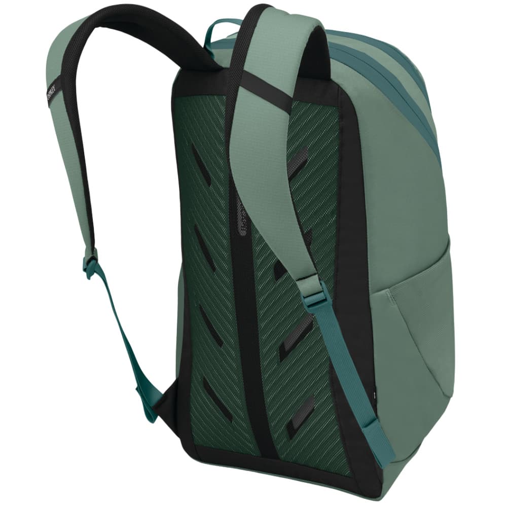 Astronova Pine Leaf Green, view: 1