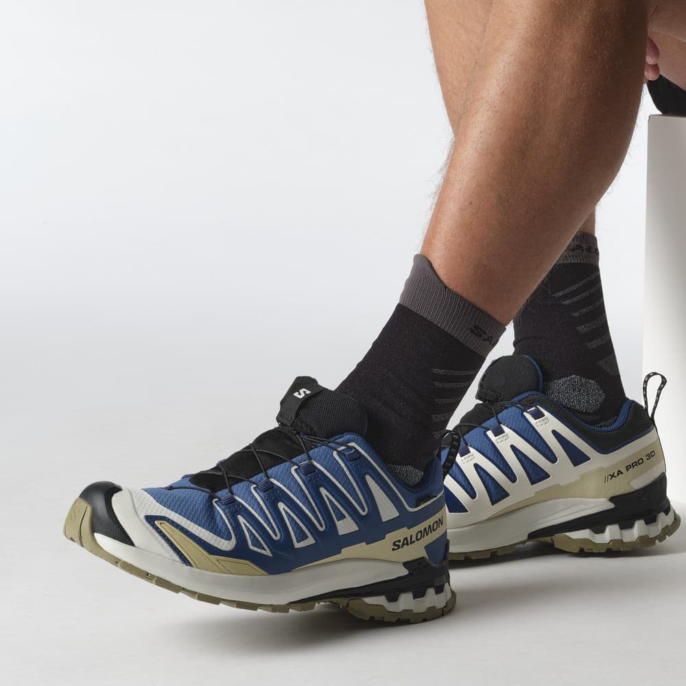 Xa Pro 3d V9 GTX Dark Blue/Icicle/Aloe, view: 6
