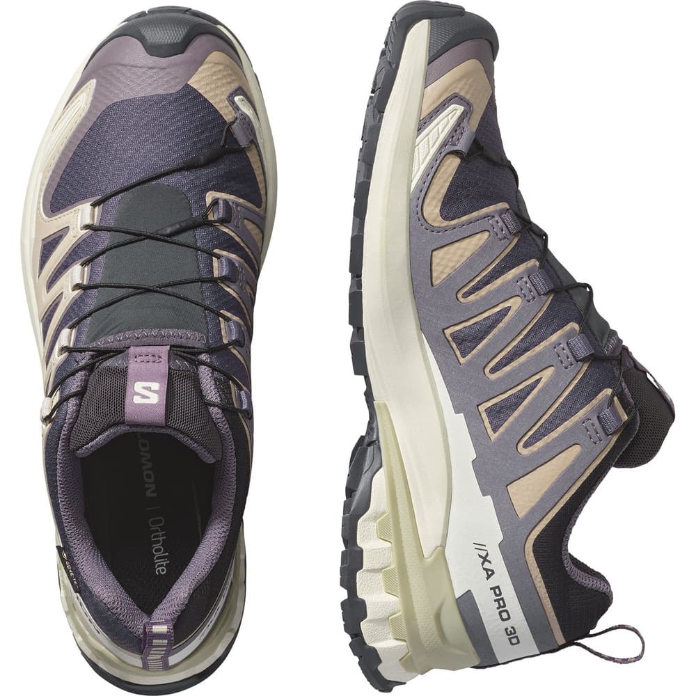 XA Pro 3D V9 GTX W Nine Iron/Oxford Tan/Alfalfa, view: 3