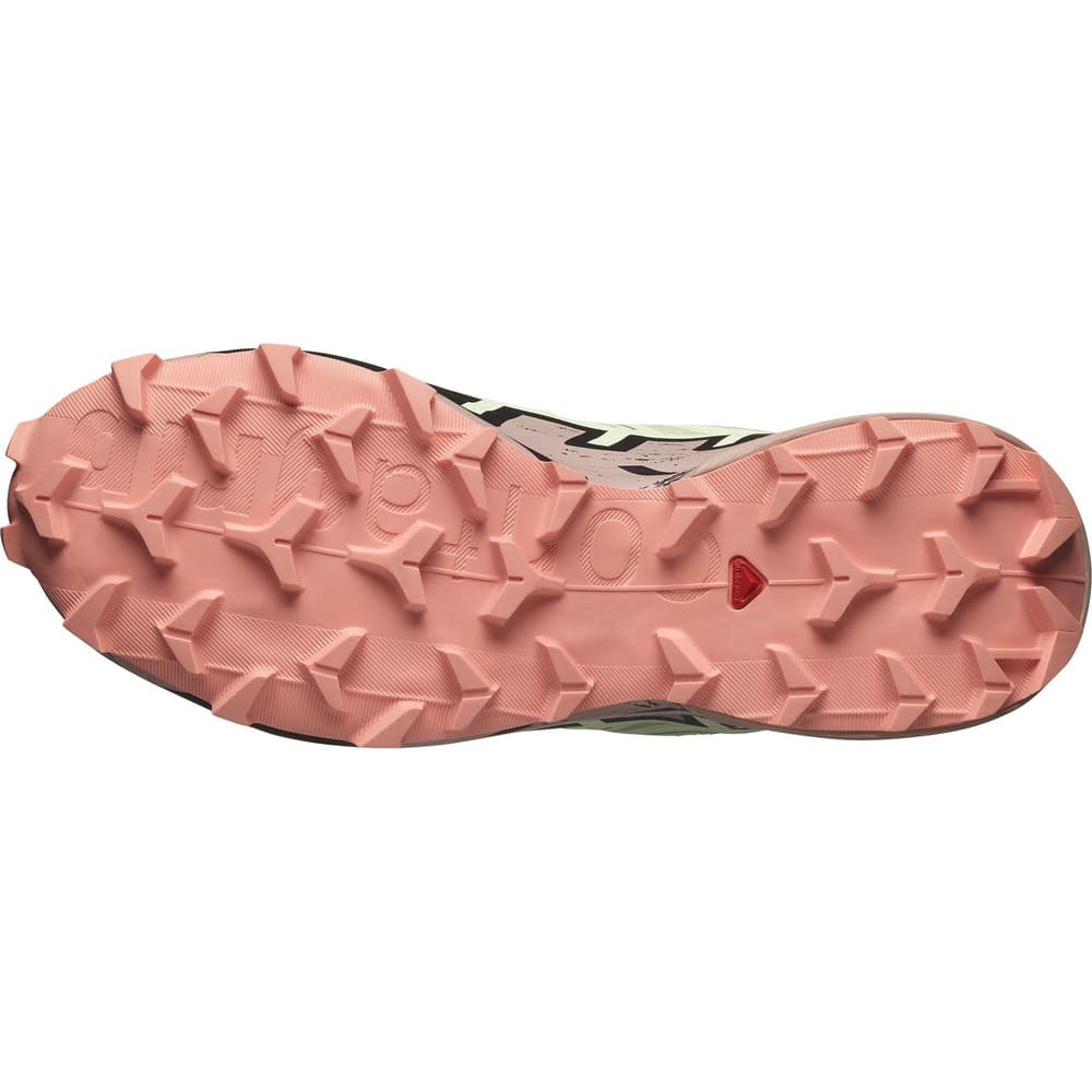 Speedcross 6 GTX W Lime Cream/Mahogany Rose/Black, view: 5