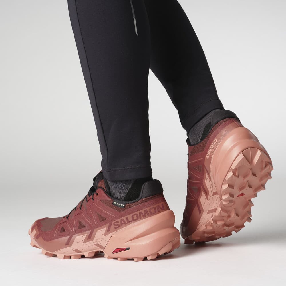 Speedcross 6 GTX W Rum Raisin/Barn Red/Canyon Clay, view: 7