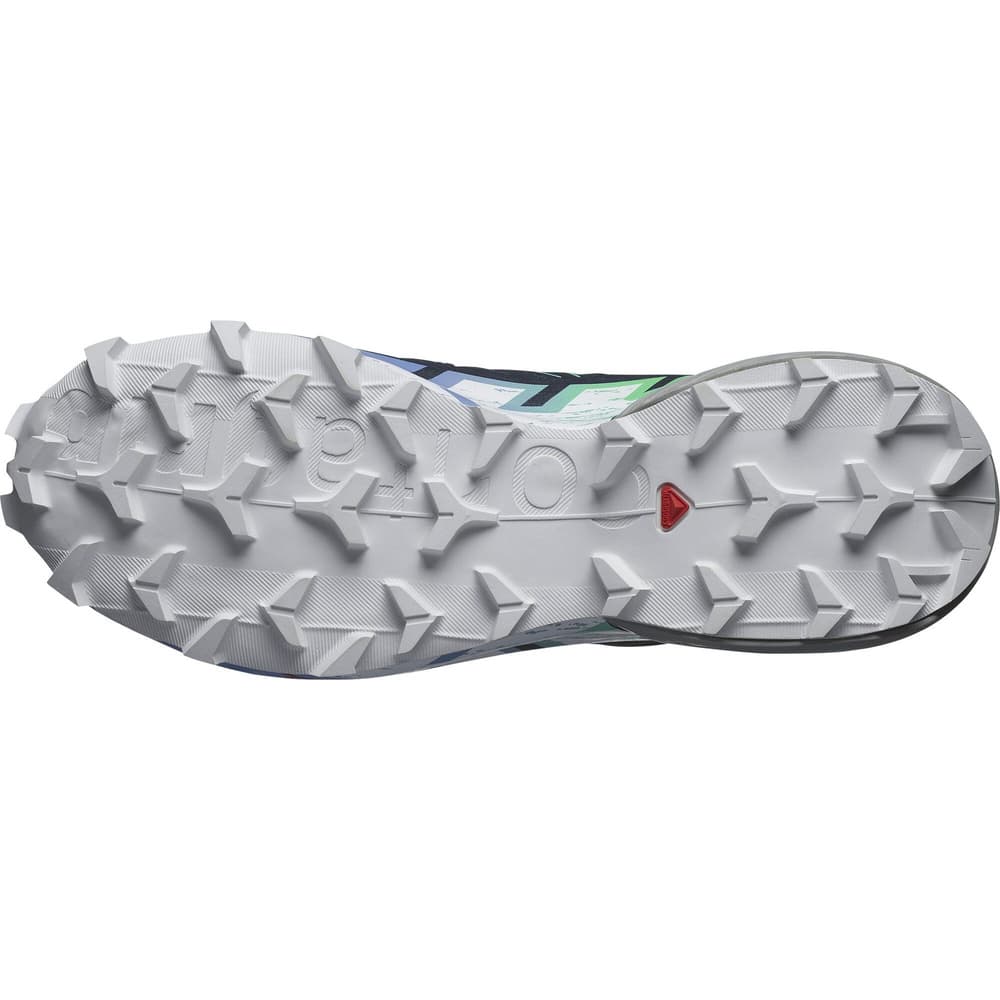 Speedcross 6 GTX W Carbon/Provence/White, view: 5