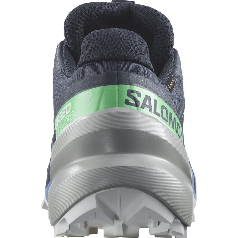 Speedcross 6 GTX W Carbon/Provence/White, view: 3