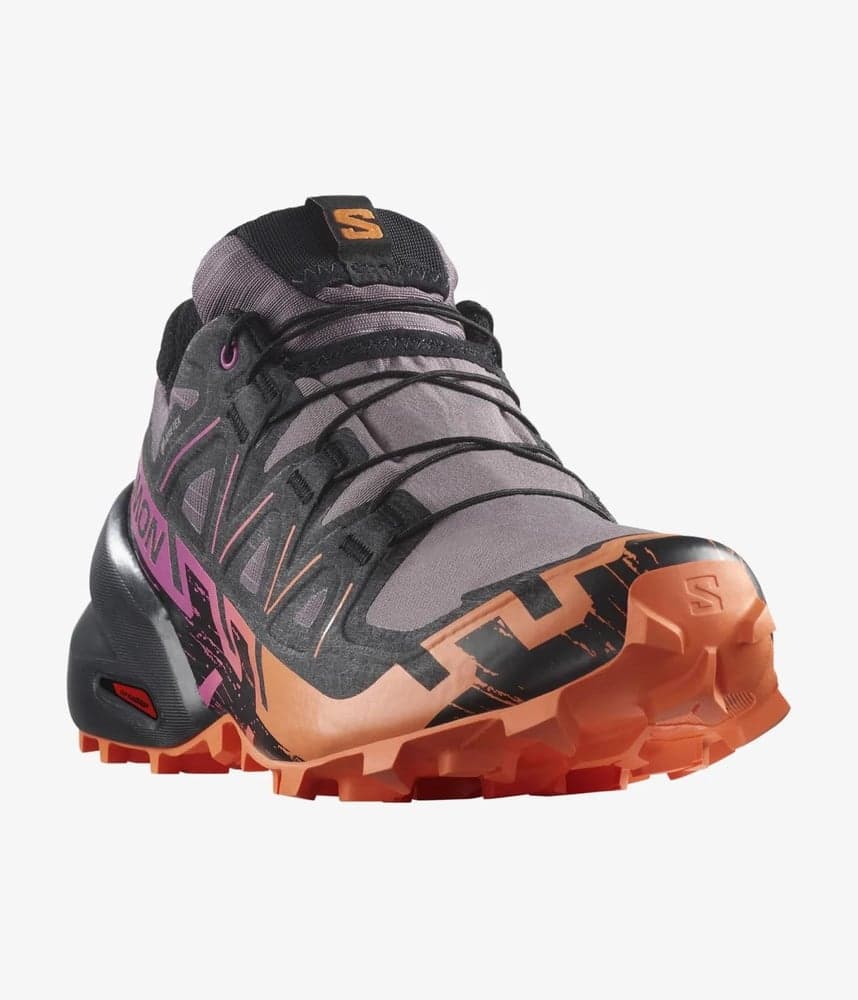 Speedcross 6 GTX W Moonscape/Black/Bird of Paradise, view: 3