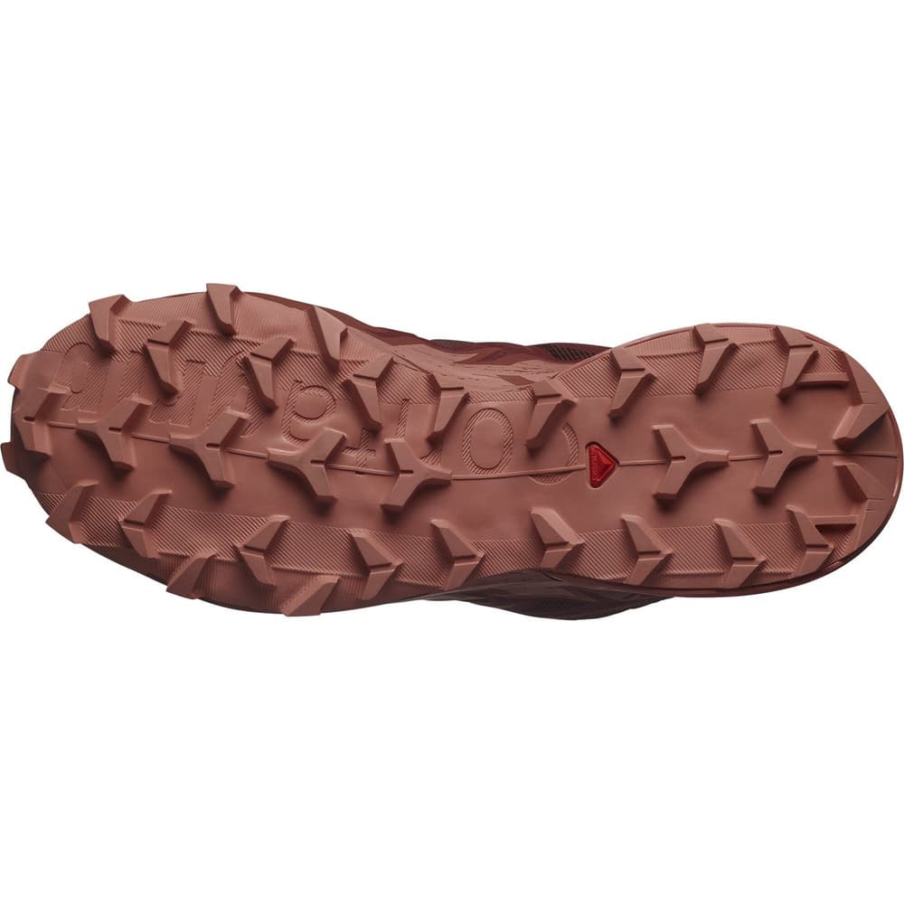 Speedcross 6 GTX W Rum Raisin/Barn Red/Canyon Clay, view: 5