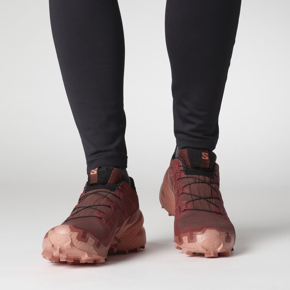 Speedcross 6 GTX W Rum Raisin/Barn Red/Canyon Clay, view: 6