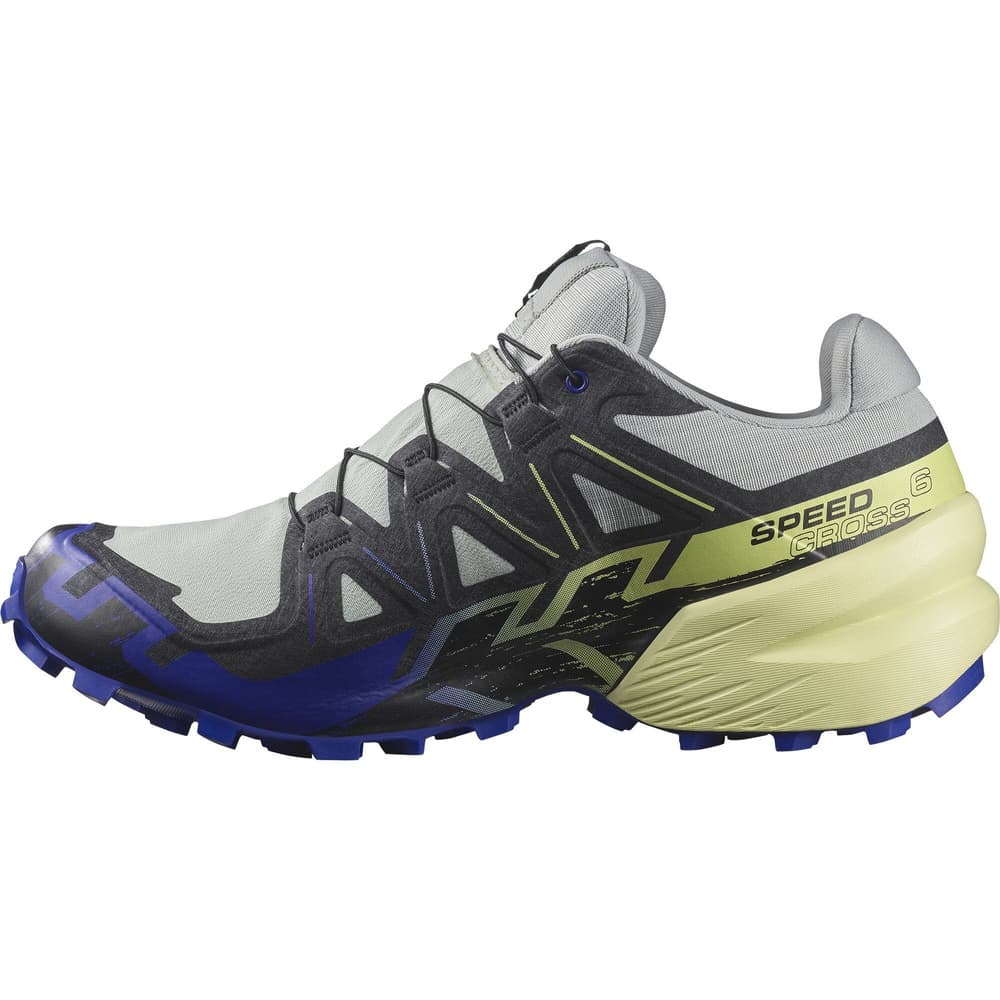 Speedcross 6 GTX Wrought Iron/Clematis Blue/Sharp Green, view: 4