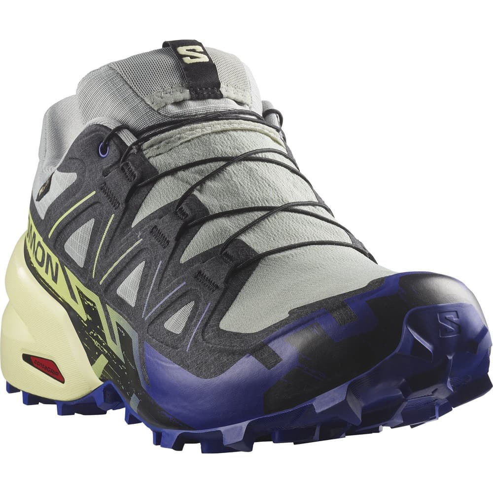 Speedcross 6 GTX Wrought Iron/Clematis Blue/Sharp Green, view: 1