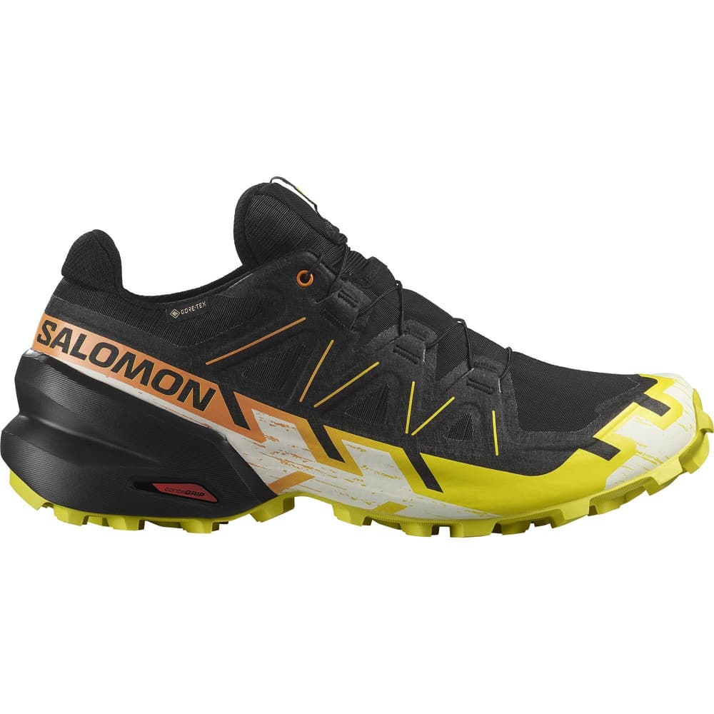 Speedcross 6 GTX Black/Sulphur Spring/Bird of Paradise, view: 0