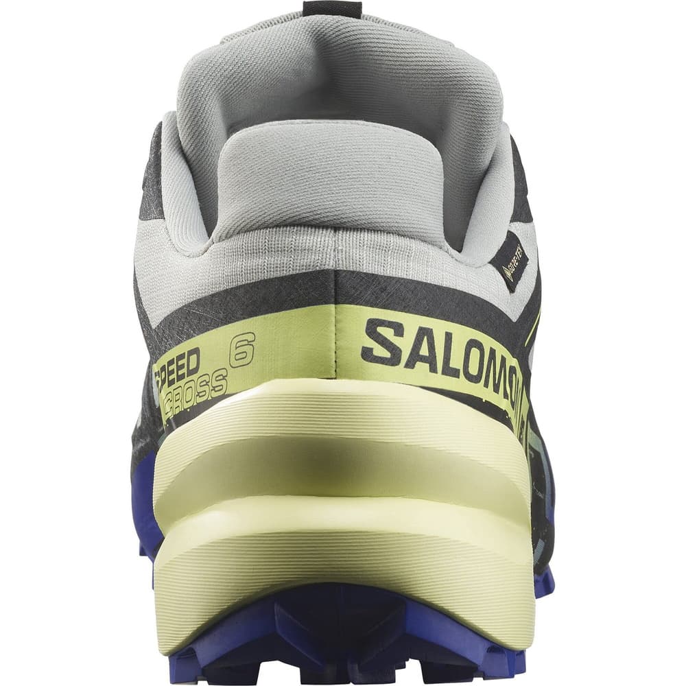 Speedcross 6 GTX Wrought Iron/Clematis Blue/Sharp Green, view: 3