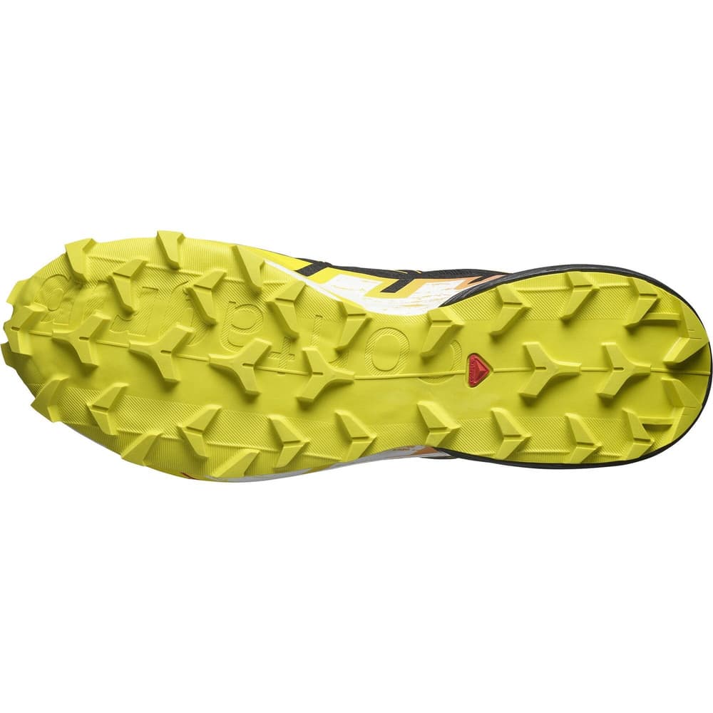 Speedcross 6 GTX Black/Sulphur Spring/Bird of Paradise, view: 5