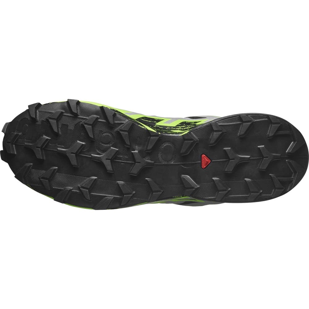 Speedcross 6 GTX Black/Alloy/Green Gecko, view: 5
