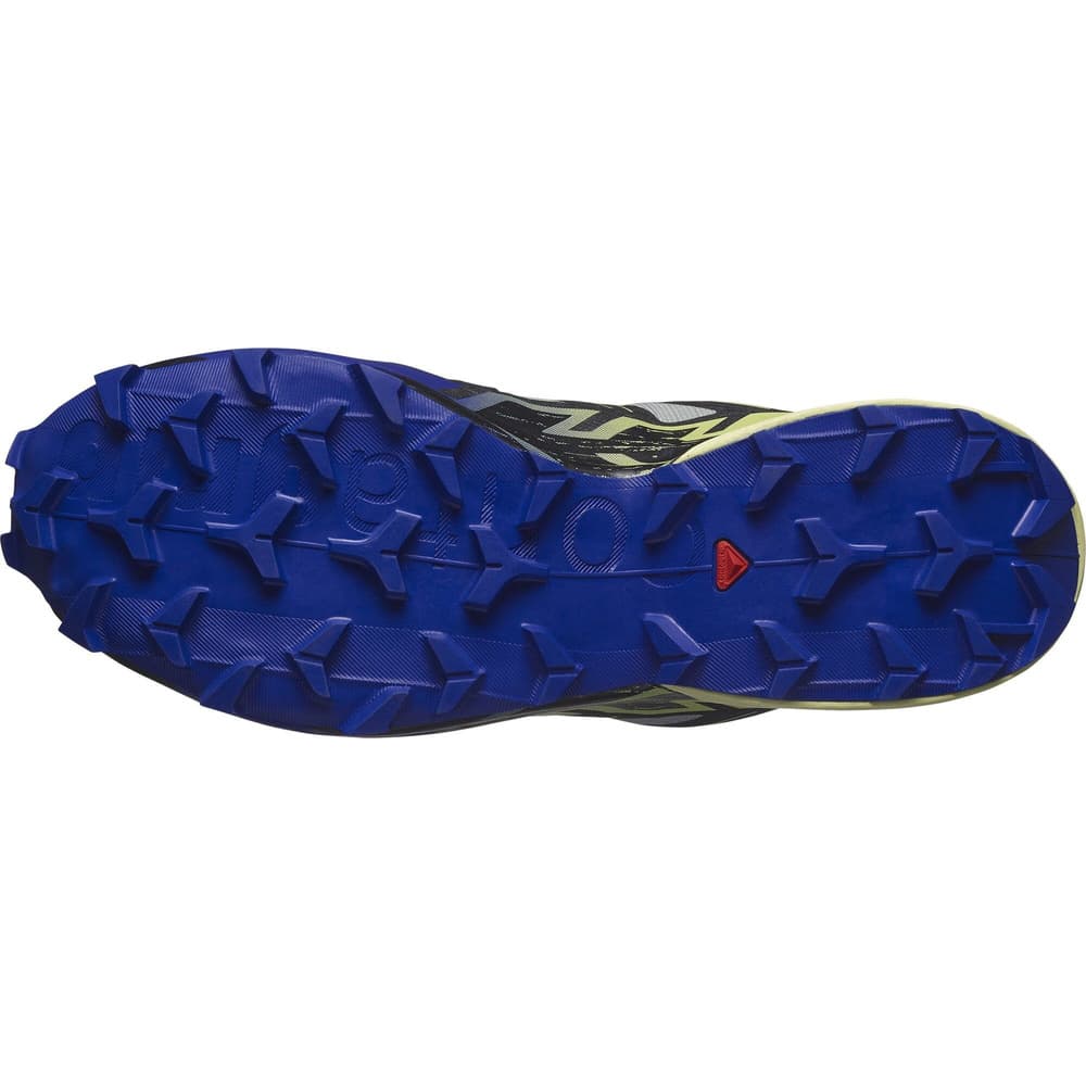 Speedcross 6 GTX Wrought Iron/Clematis Blue/Sharp Green, view: 5