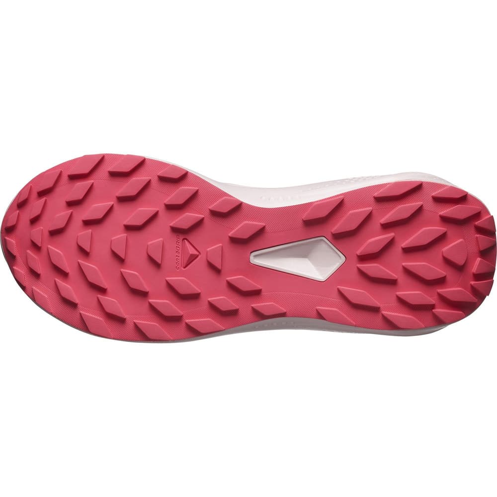 Alphaglide GTX W Lunar Rock/Blue Nights/Rouge Red, view: 7