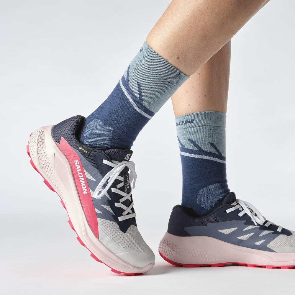 Alphaglide GTX W Lunar Rock/Blue Nights/Rouge Red, view: 5
