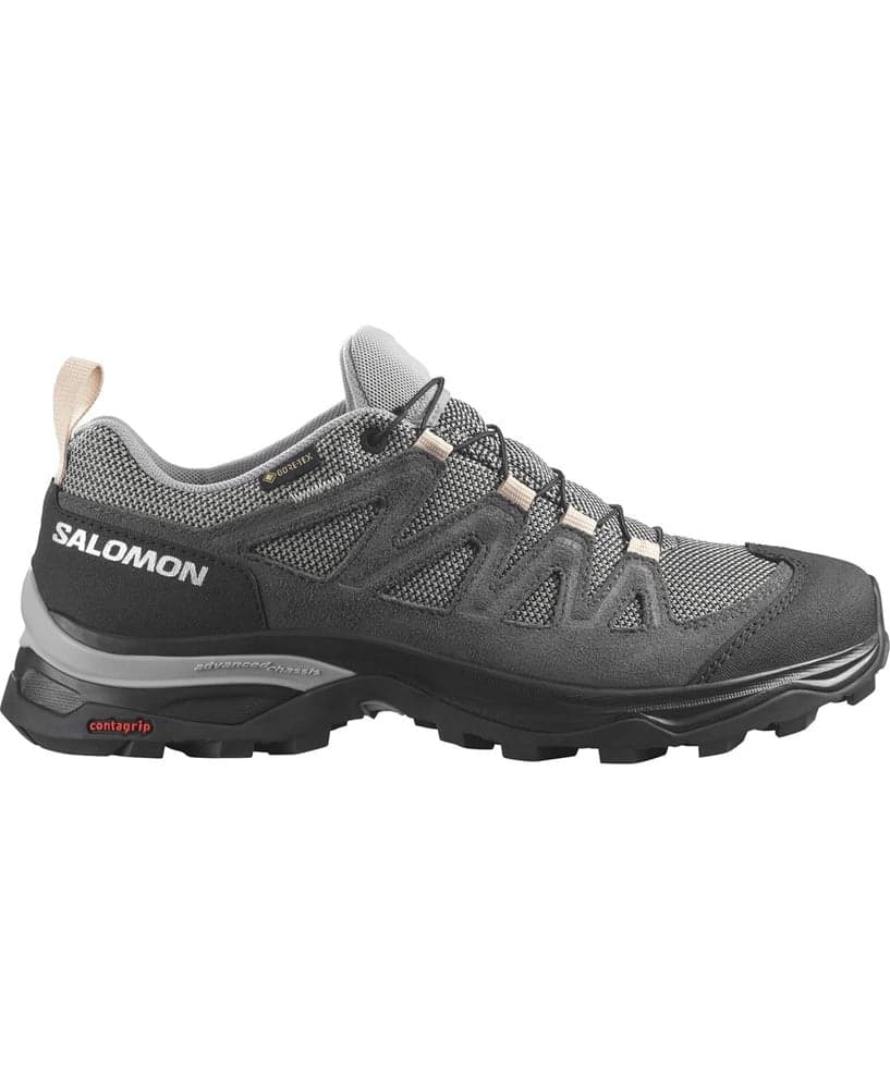 X Ward Leather GTX W Gull/Black/Ebony, view: 0
