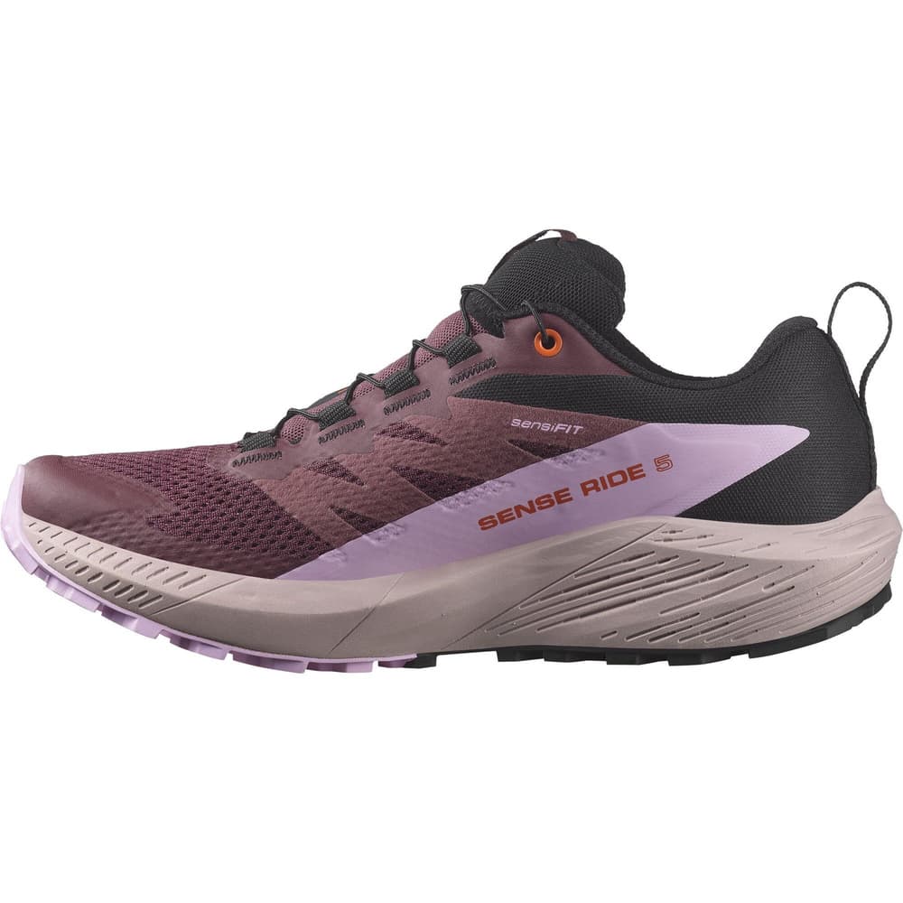 Sense Ride 5 GTX W Catawba Grape/Orchid Bouquet/Cherry Tomato, view: 1