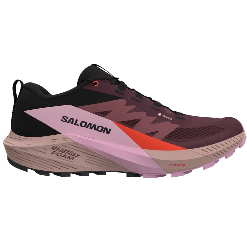 Sense Ride 5 GTX W Catawba Grape/Orchid Bouquet/Cherry Tomato, view: 0