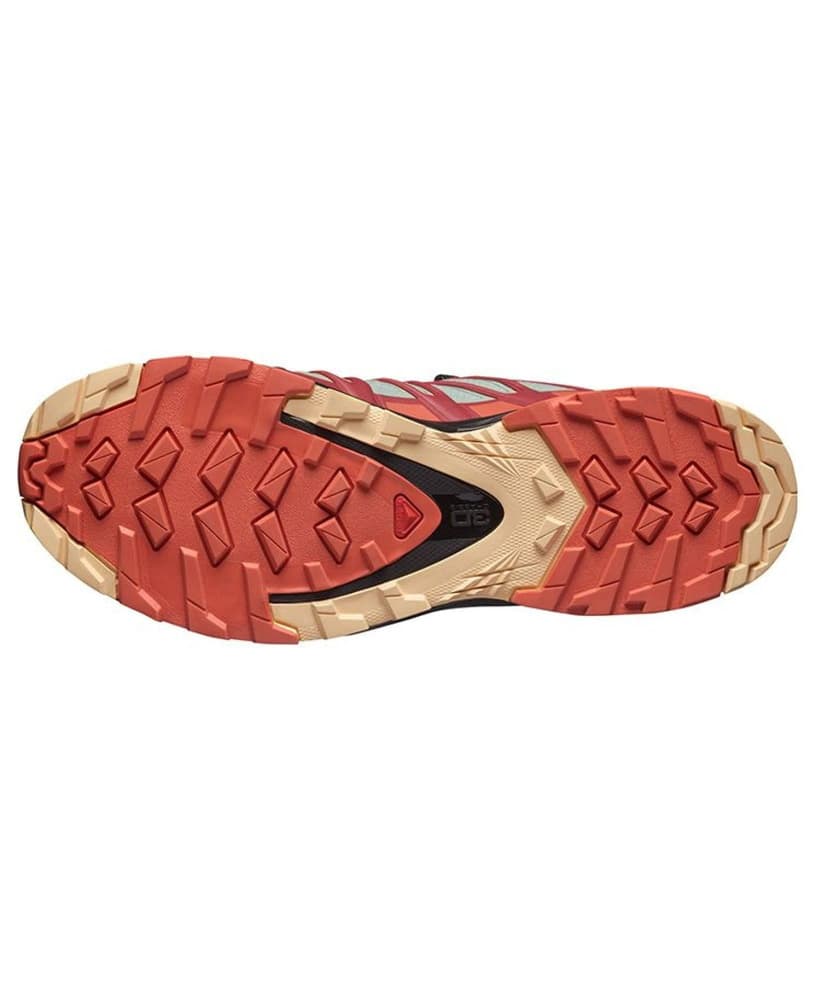 XA PRO 3D v8 GTX Ws Wrought Iron/Burnt Sienna/Biking Red, view: 4