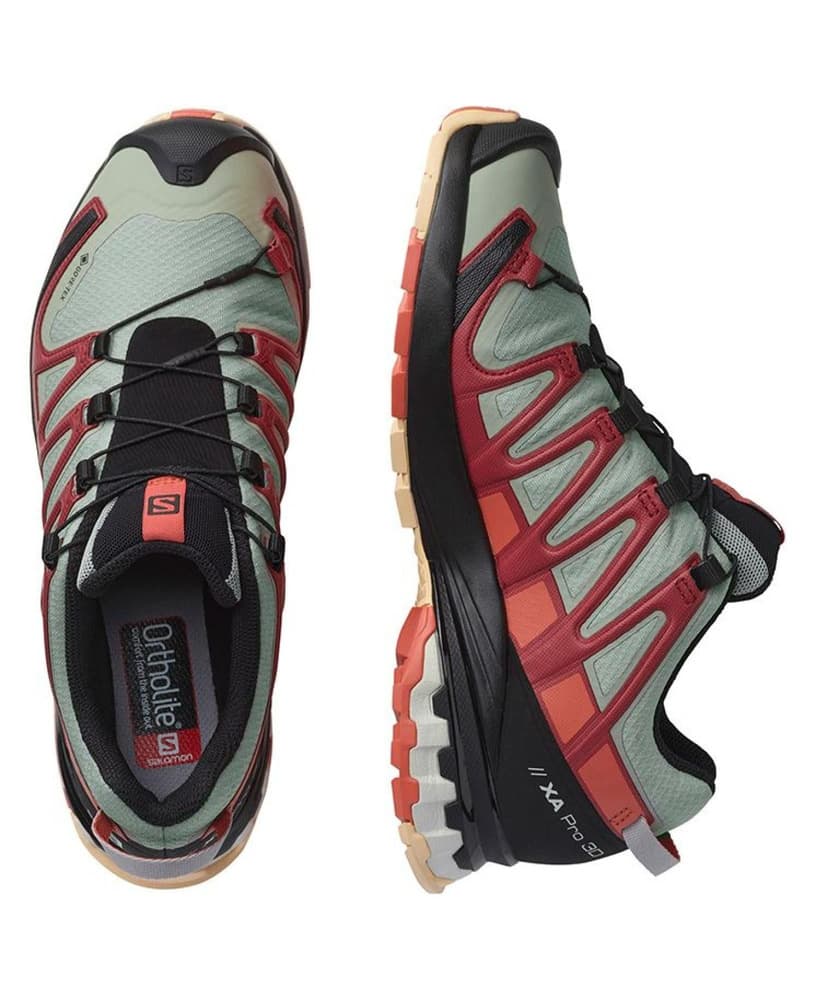 XA PRO 3D v8 GTX Ws Wrought Iron/Burnt Sienna/Biking Red, view: 2