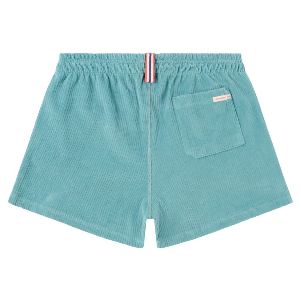 4Incher Comfy Cord Shorts Womens Aqua, view: 1