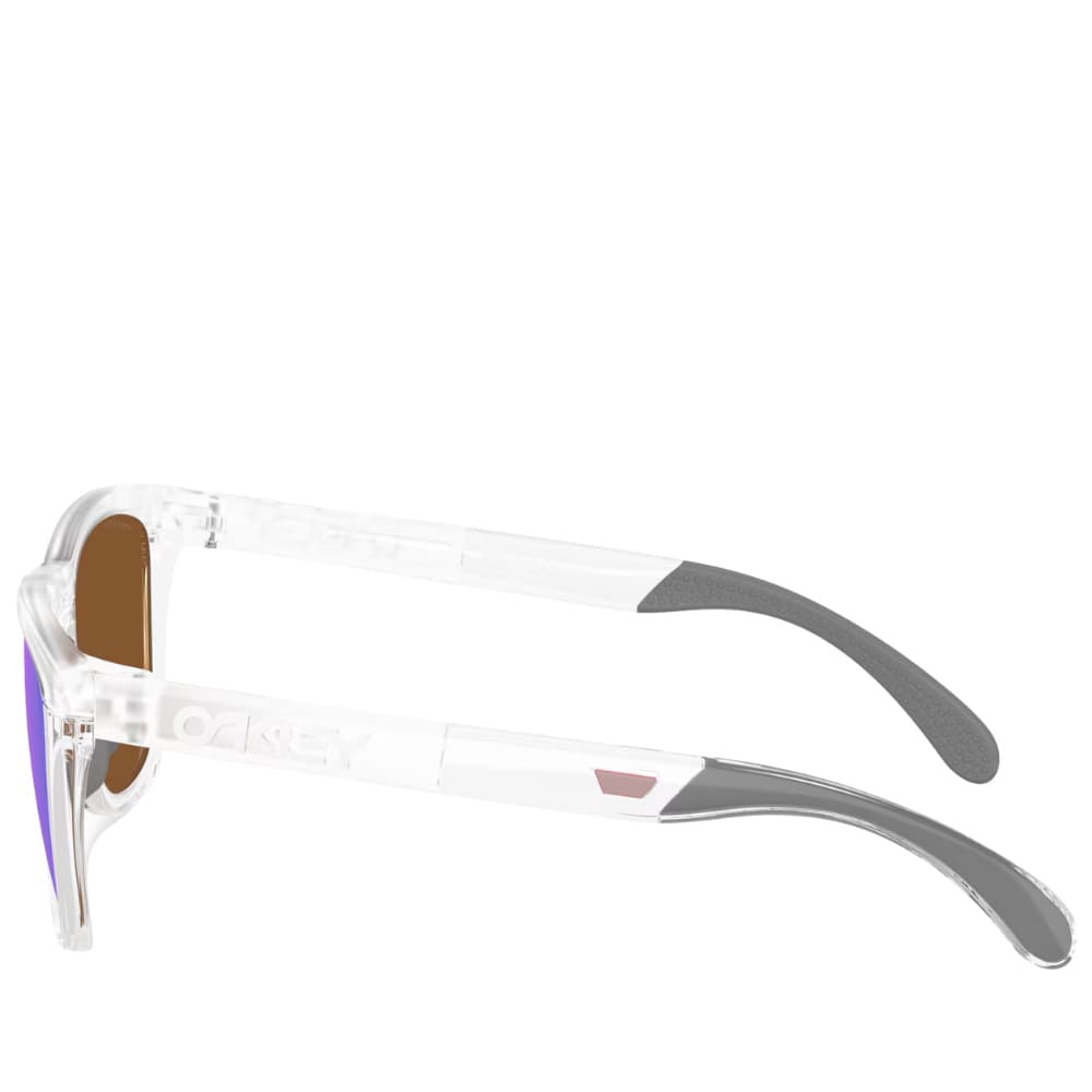 Frogskins Range XL Matte Clear Prizm Violet, view: 2