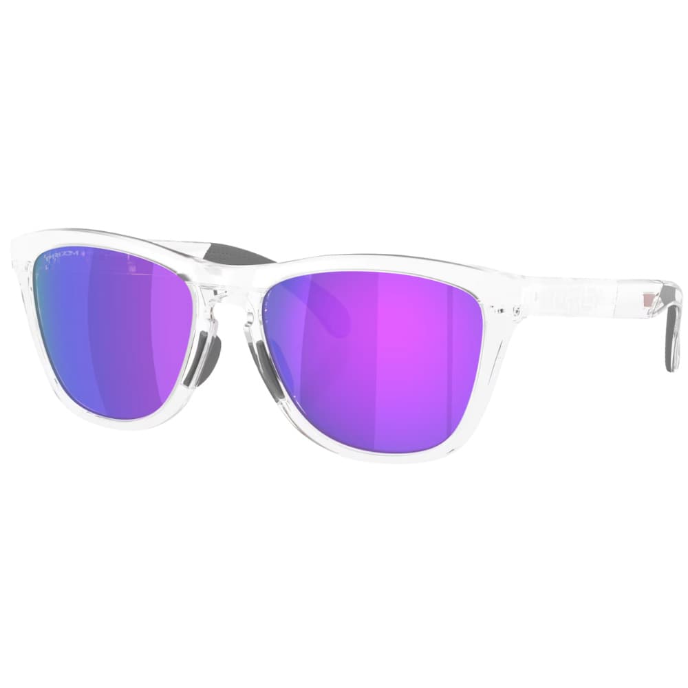 Frogskins Range XL Matte Clear Prizm Violet, view: 0