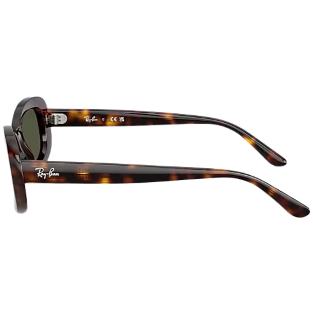0RB2221 Havana Green, view: 4