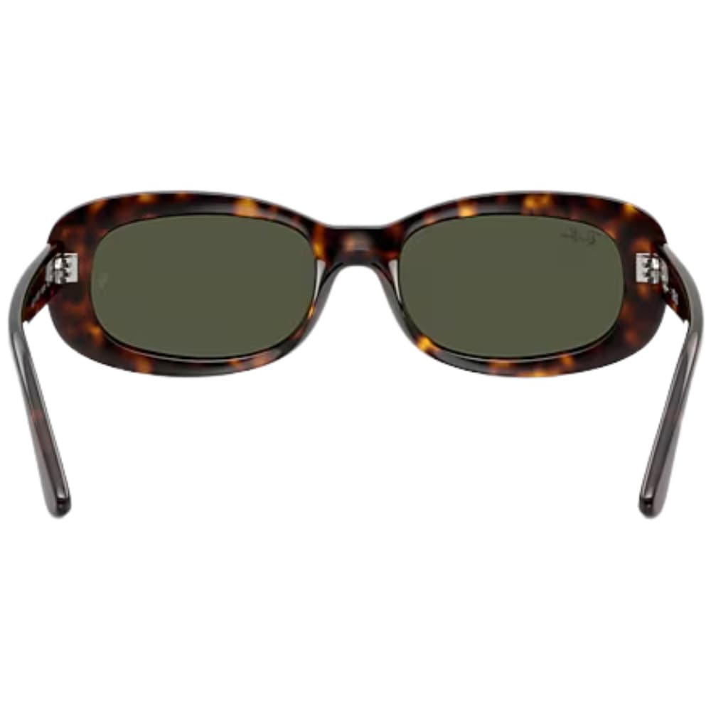 0RB2221 Havana Green, view: 5