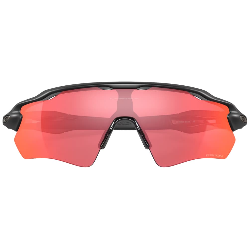 Radar Ev Path Matte Black/Prizm Trail Torch, view: 4