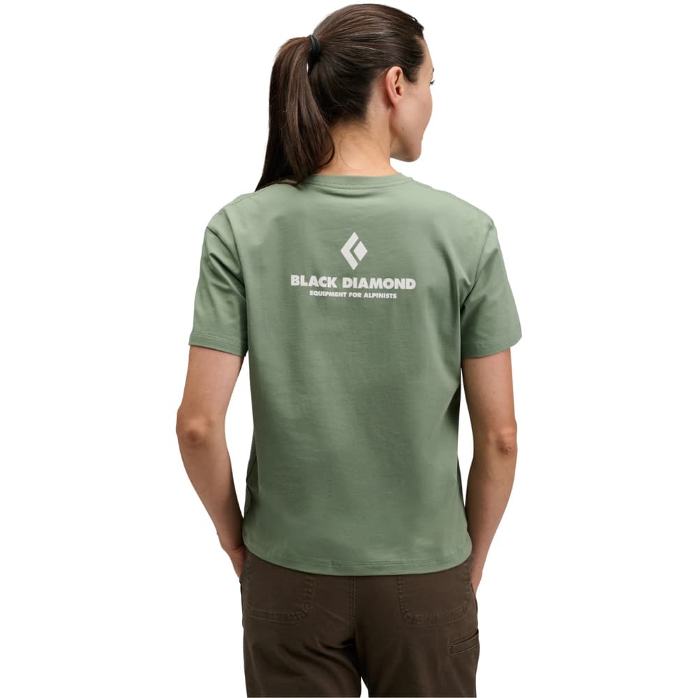 W's Equipment For Alpinist Ss Tee Laurel Green, view: 6