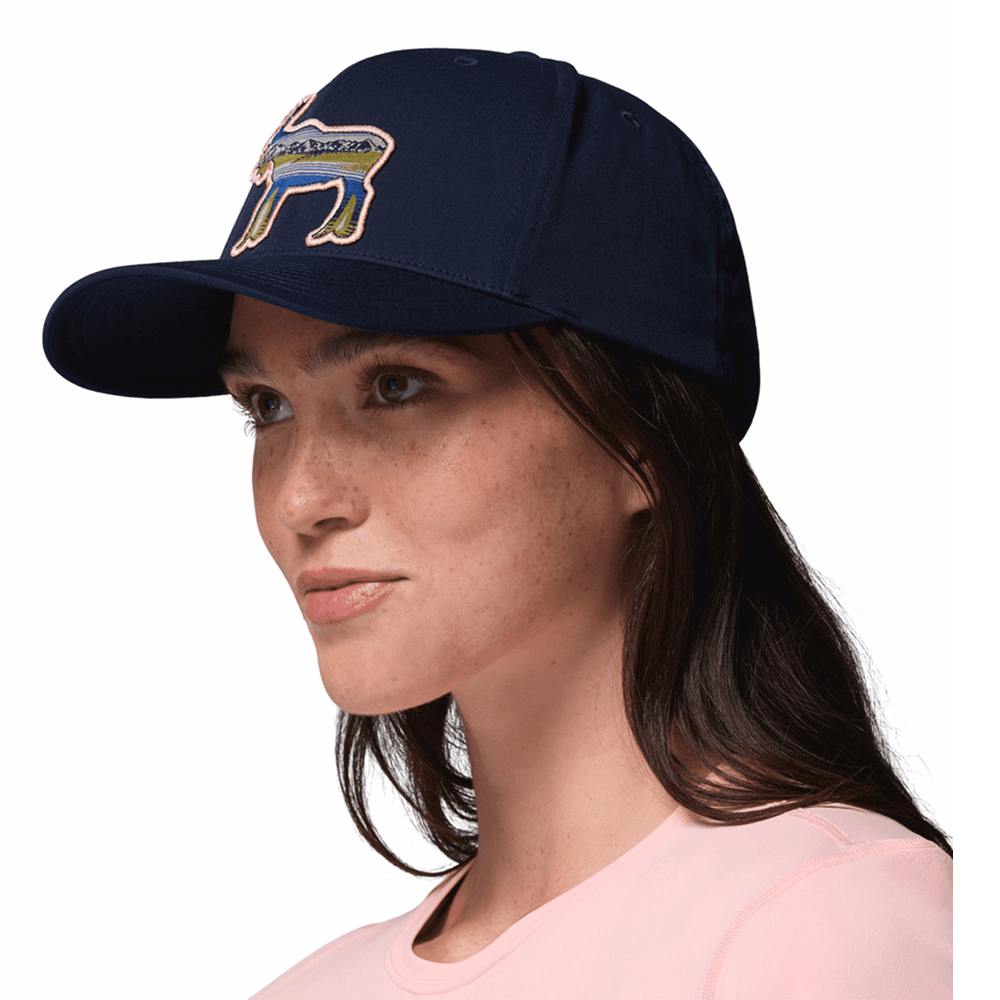 Lost Lager™ 3D Stretch Snap Back Collegiate Navy, Moose, view: 2