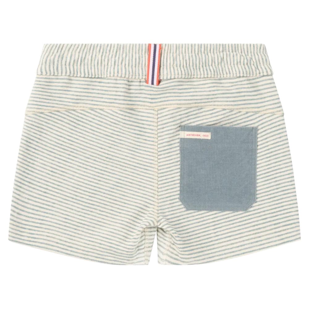 4Incher Chukka Shorts Womens Stormy Blue, view: 1