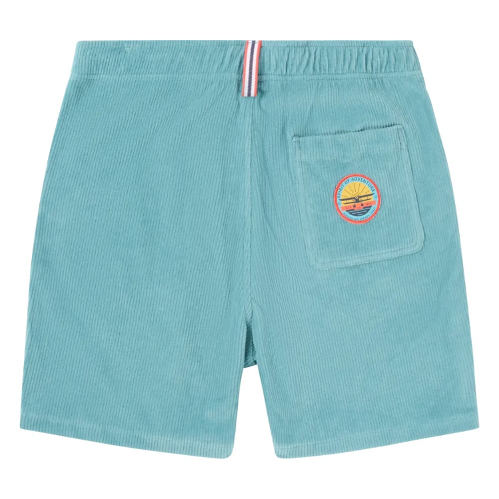 6Incher Hightide Shorts Mens Aqua, view: 1