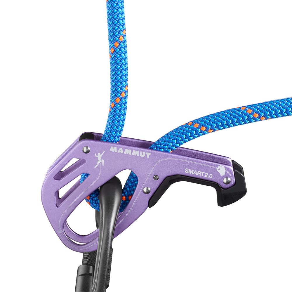 Smart 2.0 Belay Package Alpine Calamint, view: 5