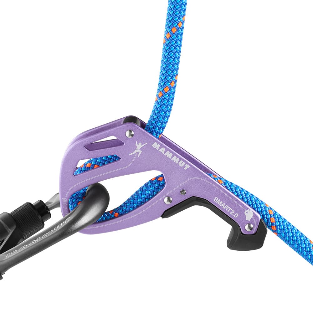 Smart 2.0 Belay Package Alpine Calamint, view: 4