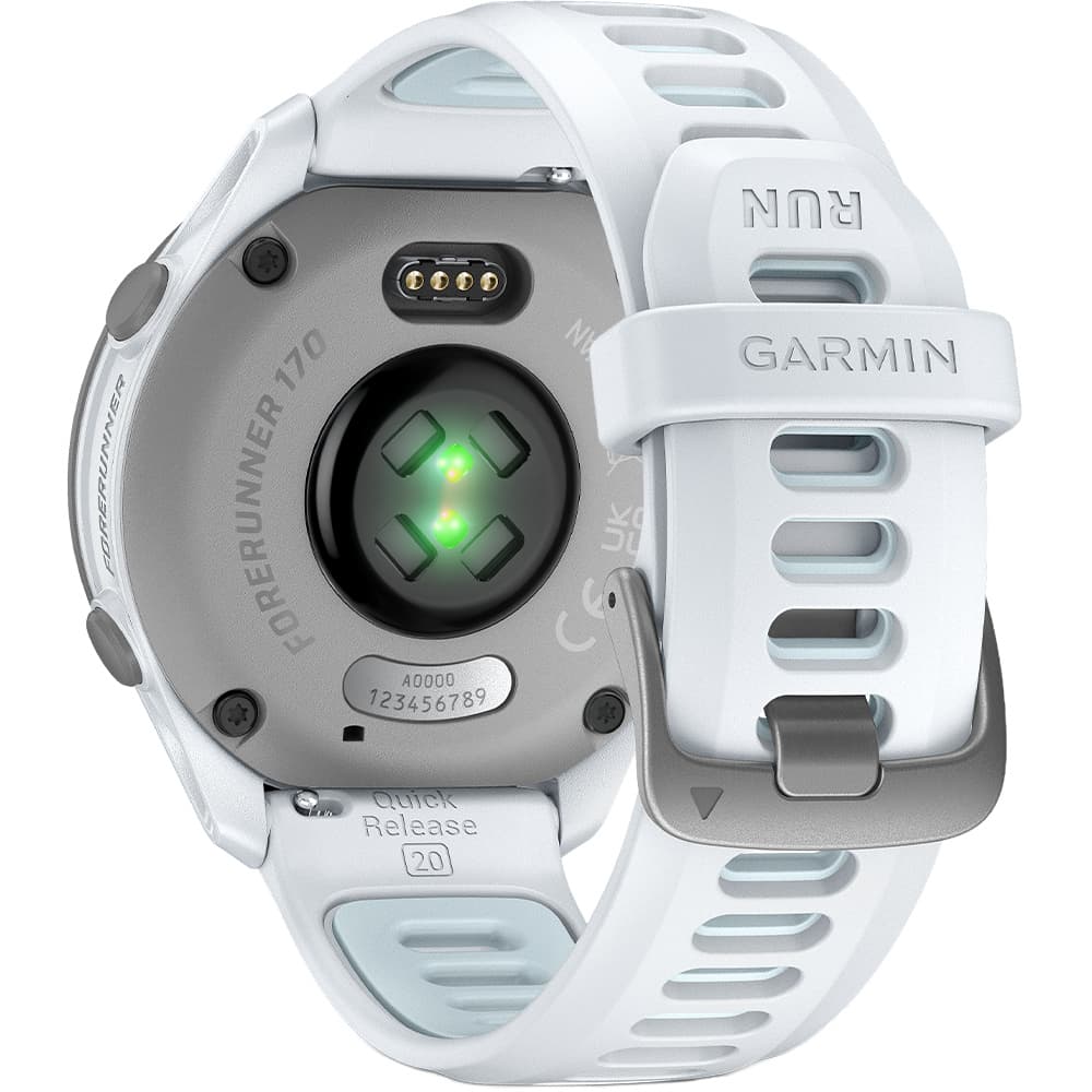Forerunner 170 Gps Whitestone/Cloud Blue, view: 1