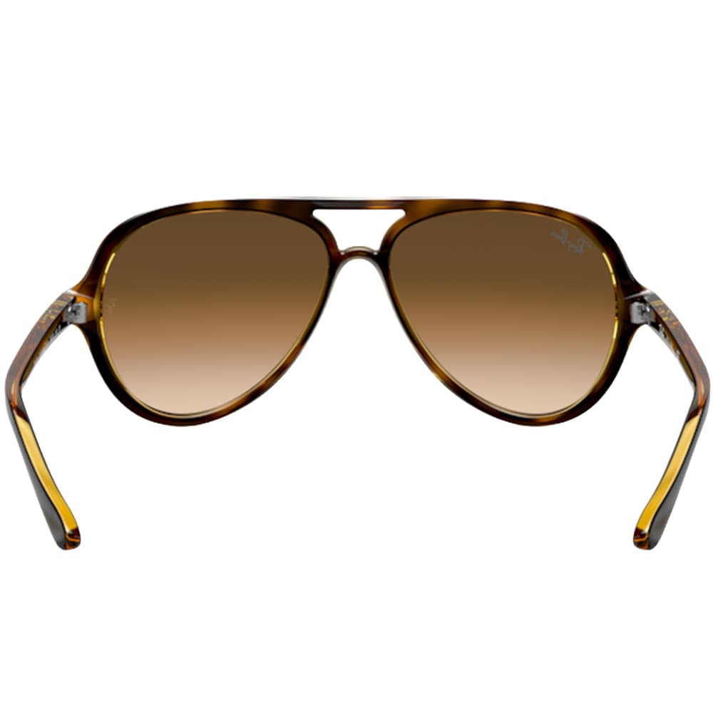 Cats 5000 Light Havana Clear Gradient Brown, view: 3