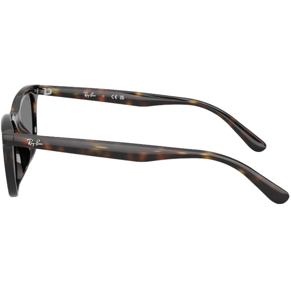 0Rb4474D Havana Dark Grey, view: 2