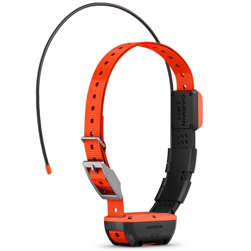 productImage: Alpha T20 GPS collar Black