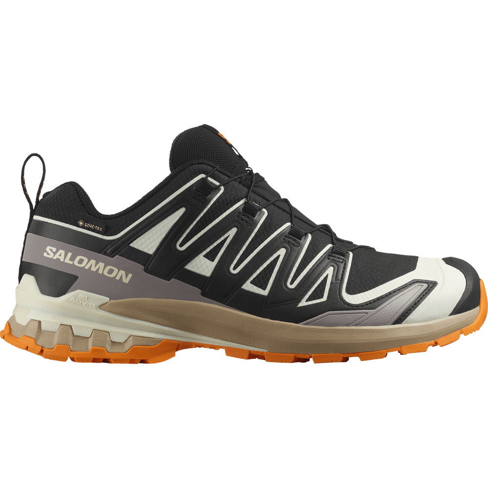 productImage: Shoes Xa Pro 3D V9 GTX Black/Vanila/Turm