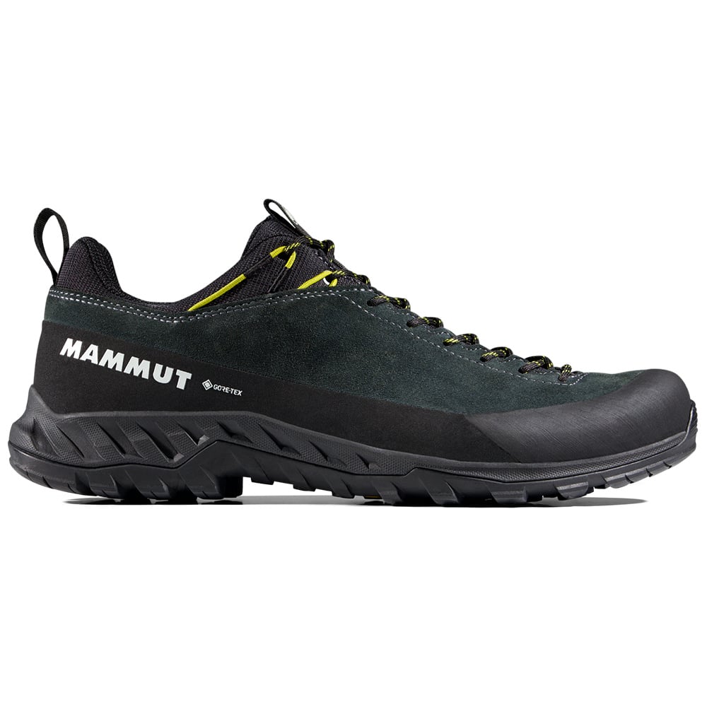 productImage: Alnasca Iv Low Lth Gtx Men Gabbro-Acacia
