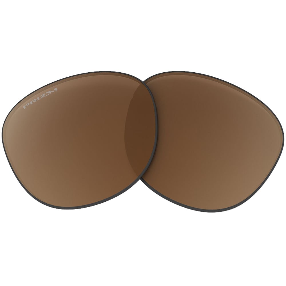 productImage: Replacement Lens Latch Alk Prizm Tungsten